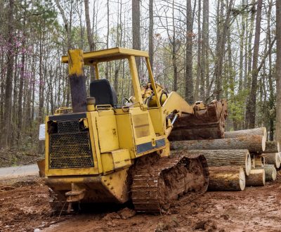 Freshly cut trees for residential construction in backhoe clearing forest on land clearing Freshly cut trees for residential construction in backhoe clearing forest on land clearing